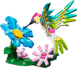 Wild Animals: Colorful Hummingbird
