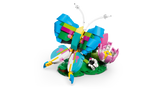 Wild Animals: Colorful Hummingbird