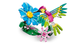 Wild Animals: Colorful Hummingbird