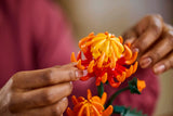Chrysanthemum