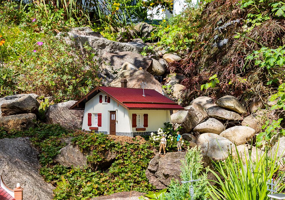 Garden shed