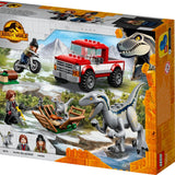Blue &amp; Beta Velociraptor Capture