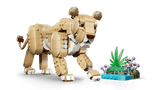 Wild Animals: Majestic Lion