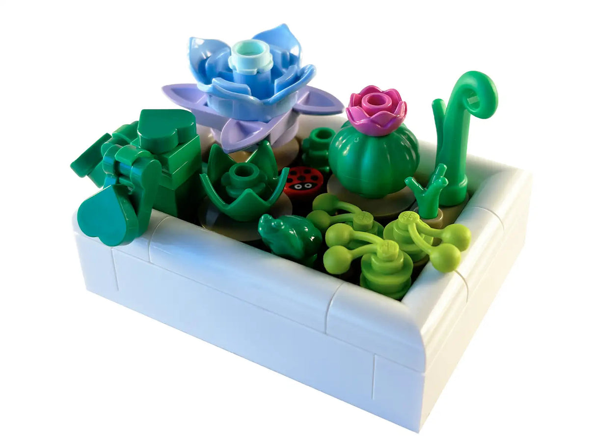 Tiny Desert Garden