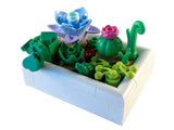 Tiny Desert Garden