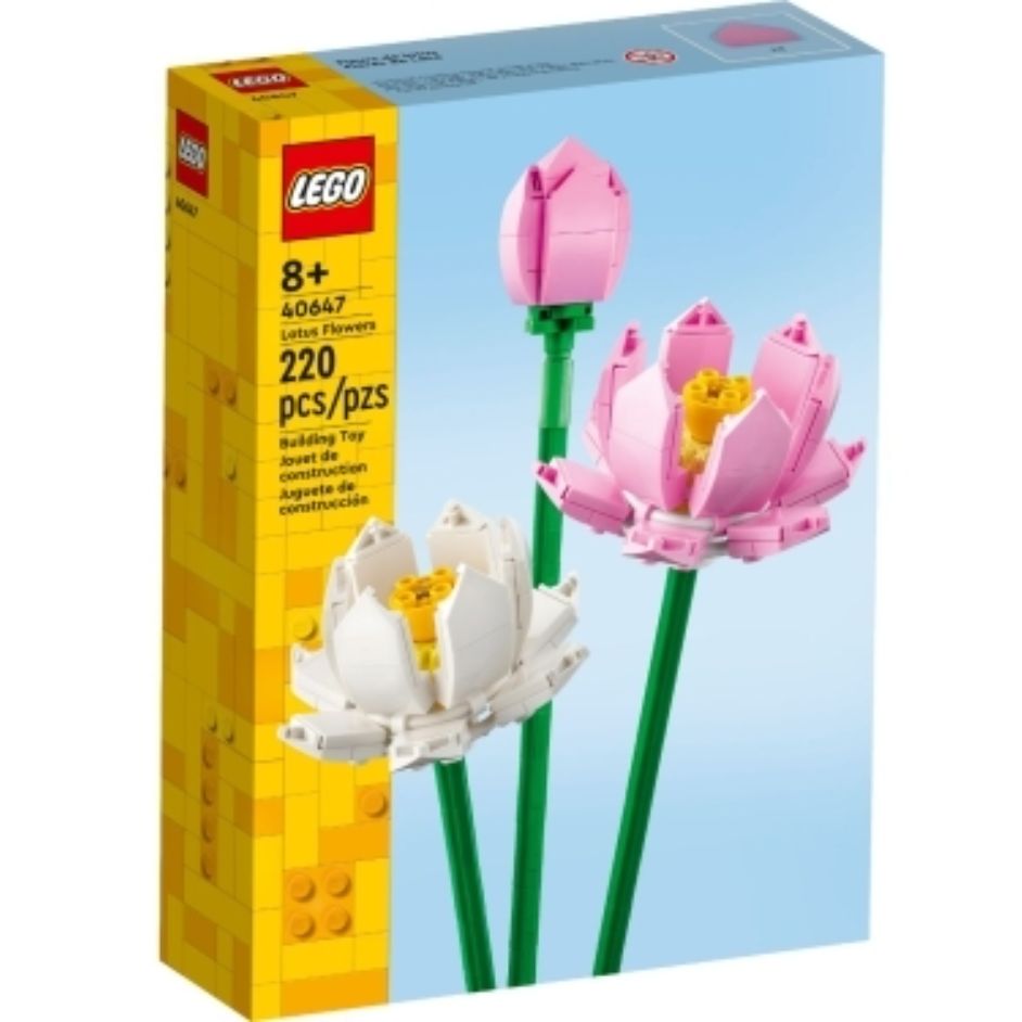 Lotus Flowers