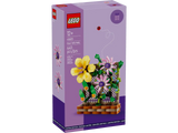 Flower Trellis Display