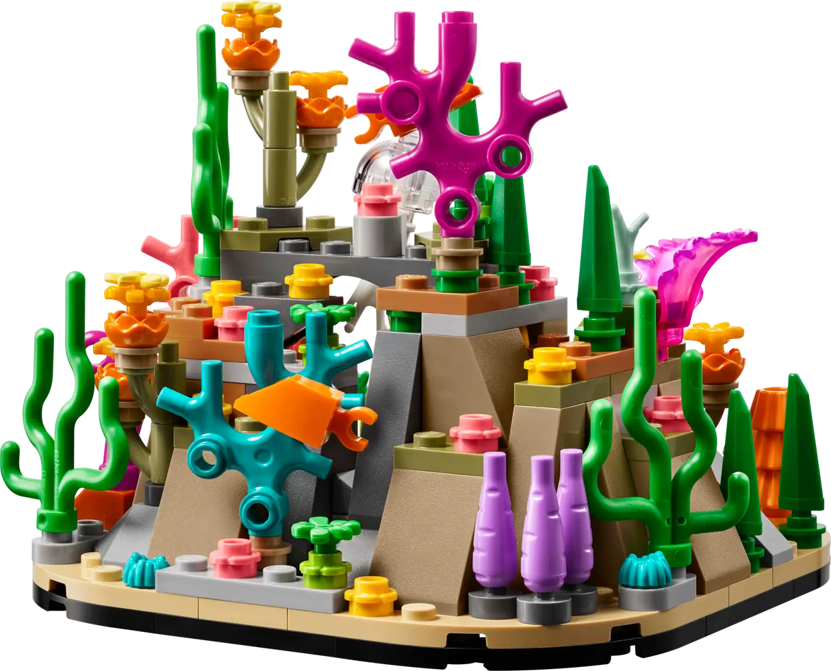 Coral Reef Diorama