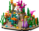 Coral Reef Diorama