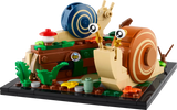 Friendly Snails