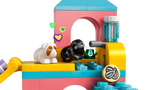 Guinea Pig Playground
