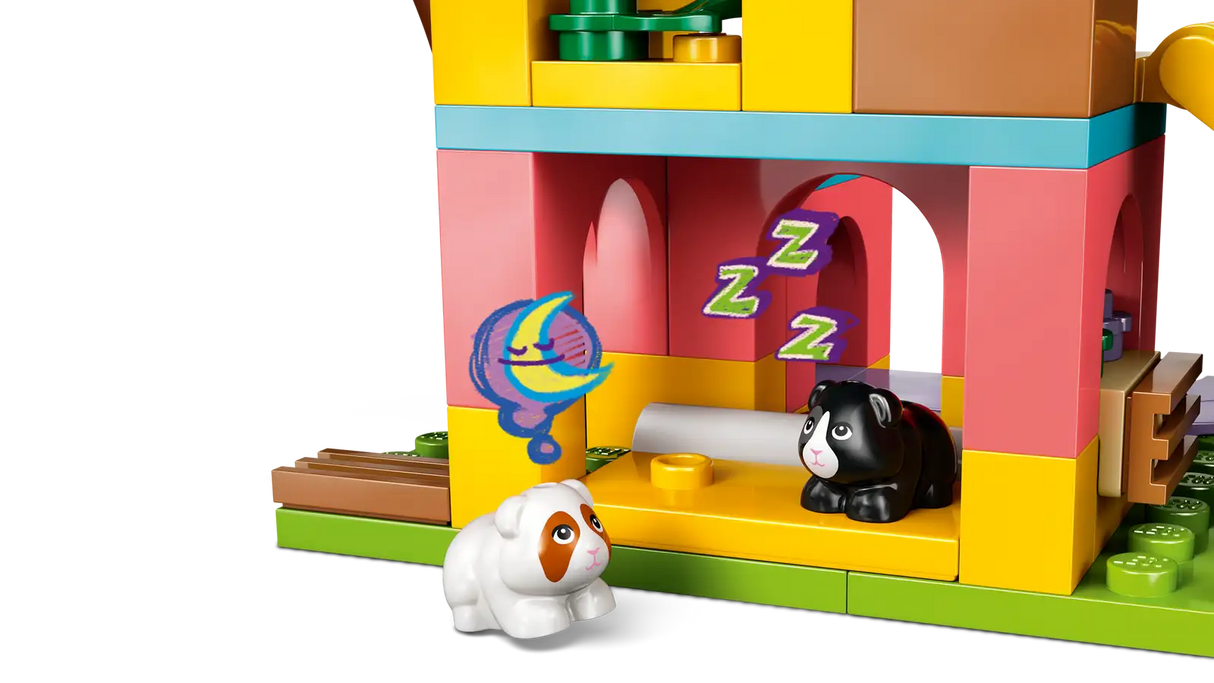 Guinea Pig Playground