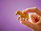 Pony Ranch and Stable