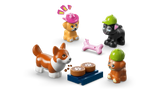 Dog Treats Bakery