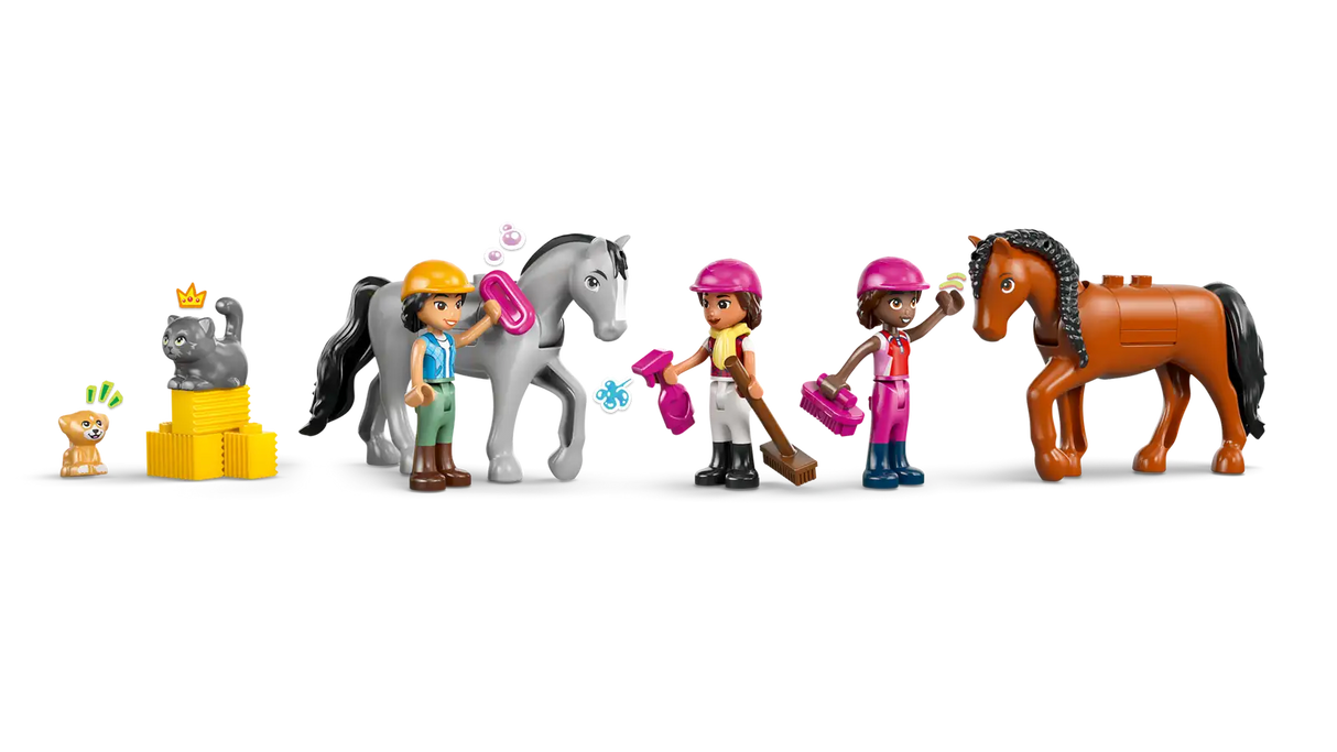 Horse Stable and Riding Academy