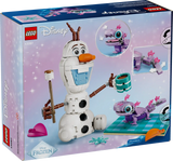 Olaf and Bruni’s Picnic Fun