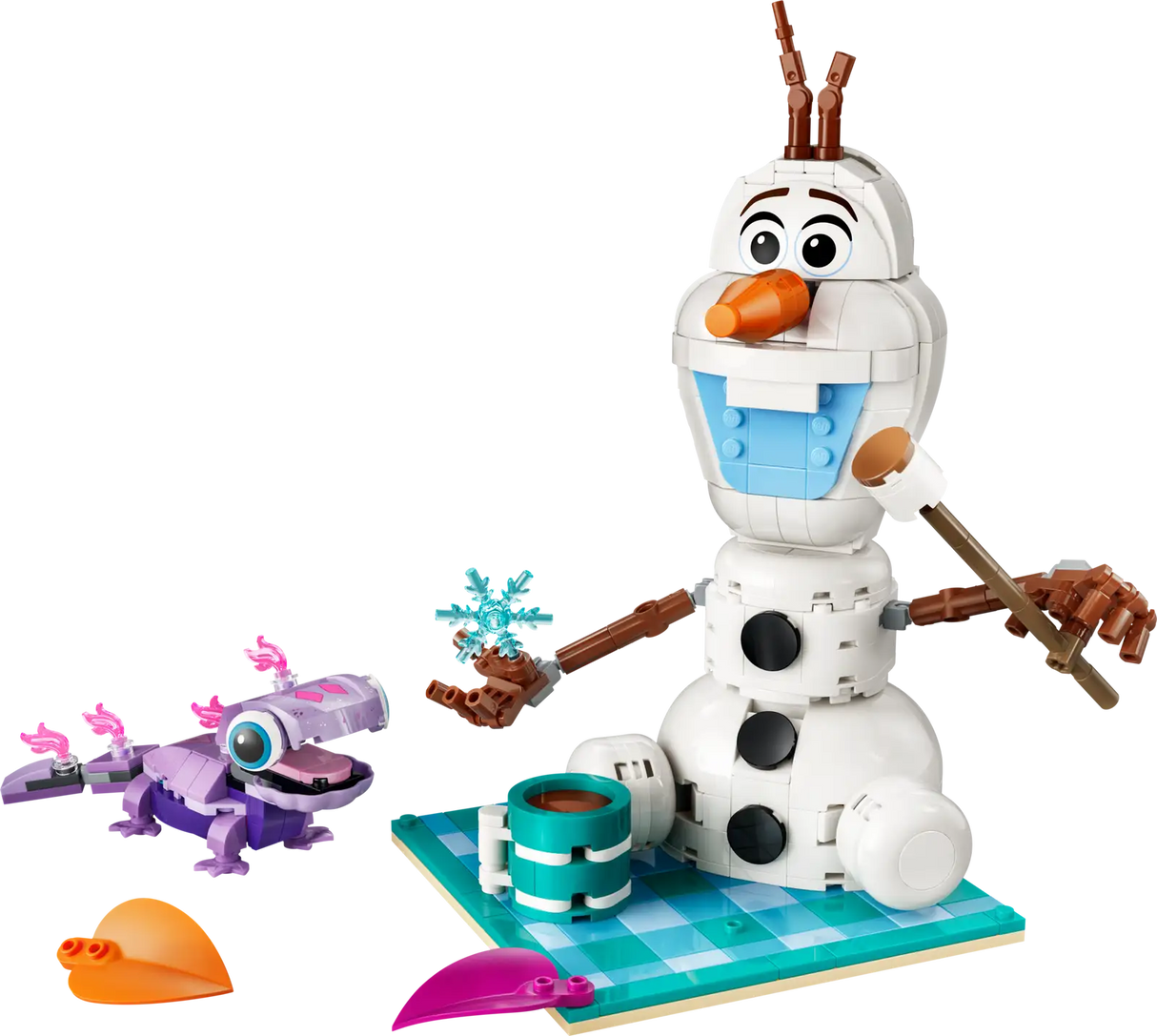 Olaf and Bruni’s Picnic Fun