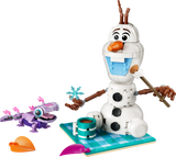 Olaf and Bruni’s Picnic Fun