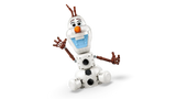Olaf and Bruni’s Picnic Fun
