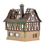 Burning House