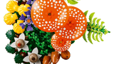 Woodland Mushrooms