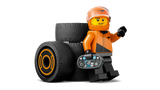 F1® Driver with McLaren Race Car