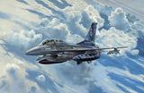 Model Set Lockheed Martin F-16D Tigermeet 2014