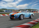 Model Set '65 Shelby Cobra 427