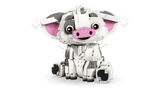 Pua