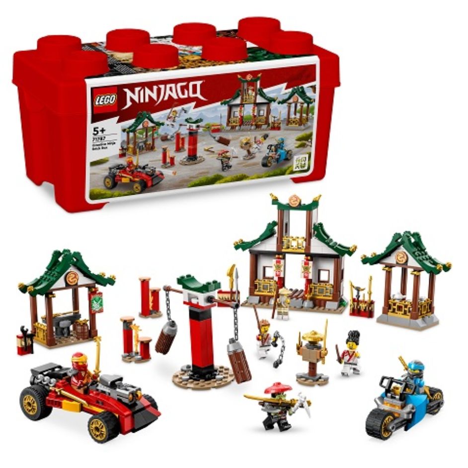 Creative Ninja Brick Box