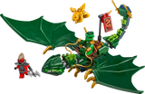 Lloyd's Green Forest Dragon