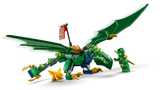 Lloyd's Green Forest Dragon