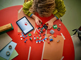 Mario Kart™ – Interactive LEGO® Mario™ &amp; Standard Kart
