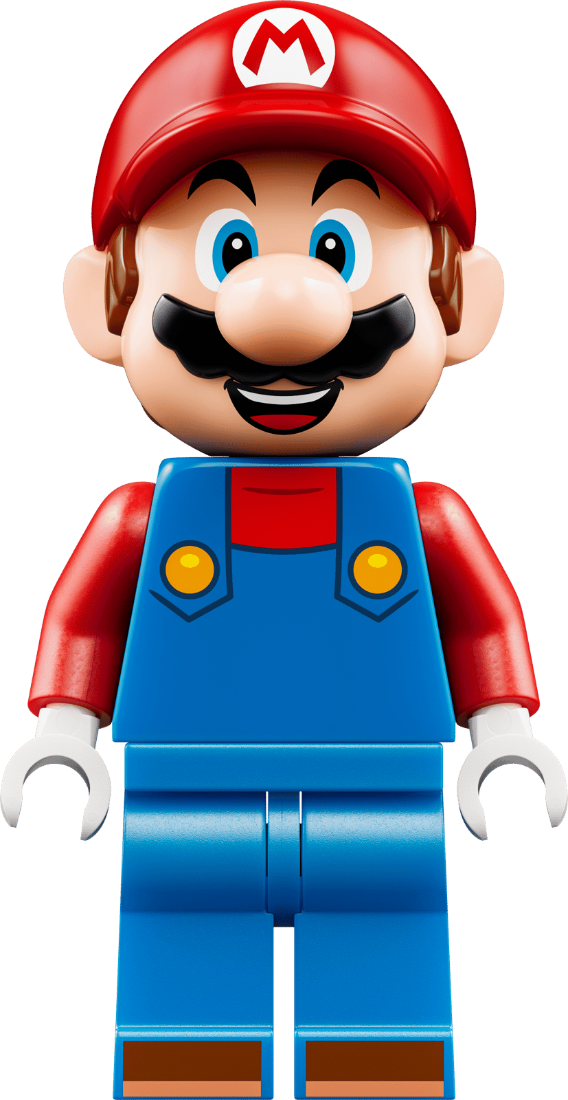 Yoshi at Mario's House