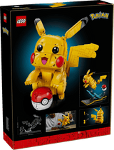 Pikachu and Poké Ball