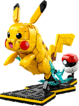 Pikachu and Poké Ball