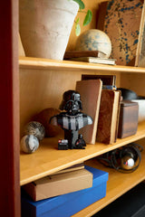 Darth Vader™ Bust