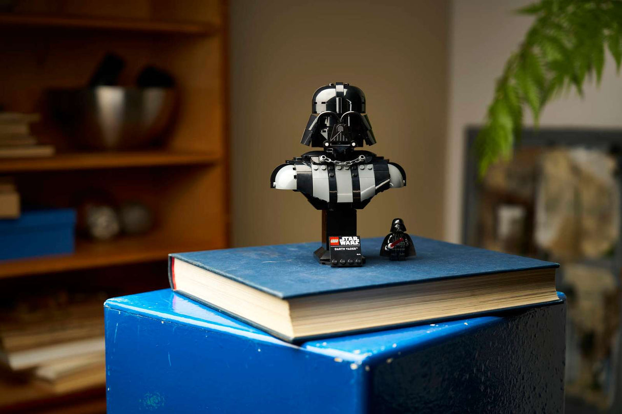 Darth Vader™ Bust
