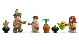 Hogwarts Castle: Herbology Class