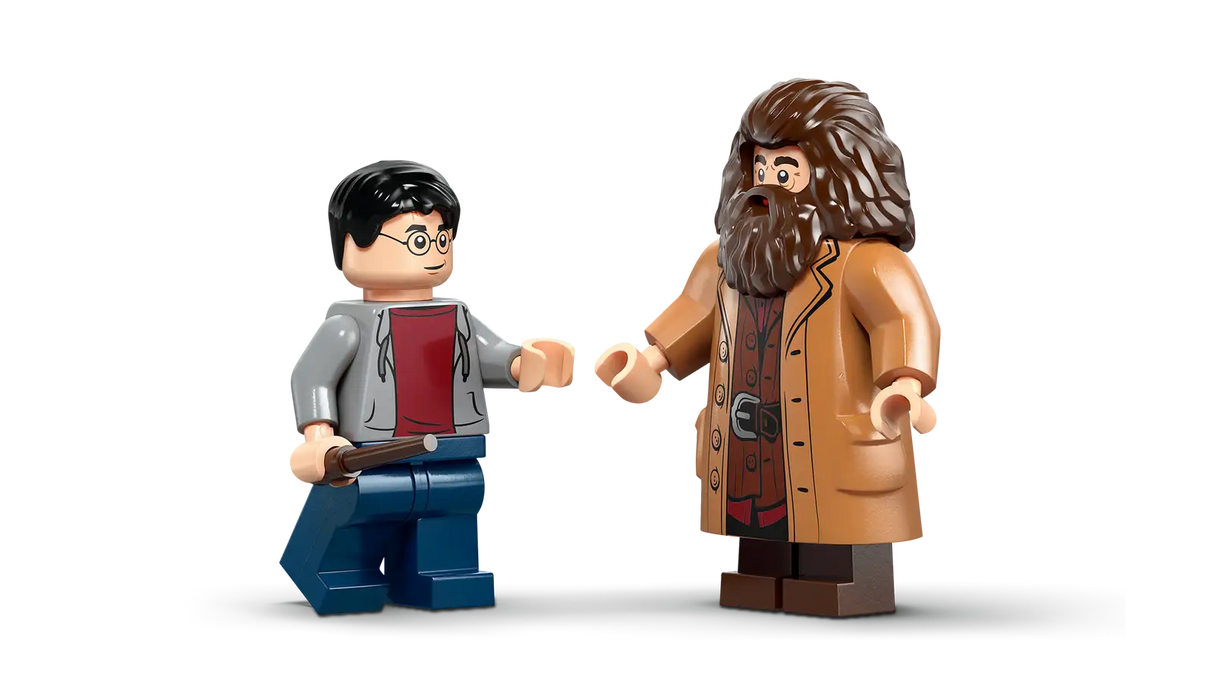 Hagrid™ & Harry's Privet Drive Escape