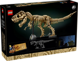 Dinosaur Fossils: Tyrannosaurus rex