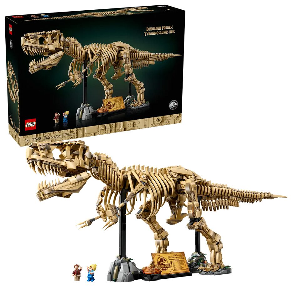 Dinosaur Fossils: Tyrannosaurus rex