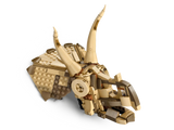 Dinosaur Fossils: Triceratops Skull