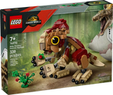 Baby Dinosaur Dolores: Aquilops