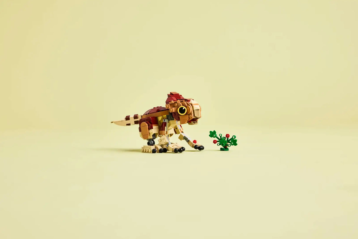 Baby Dinosaur Dolores: Aquilops