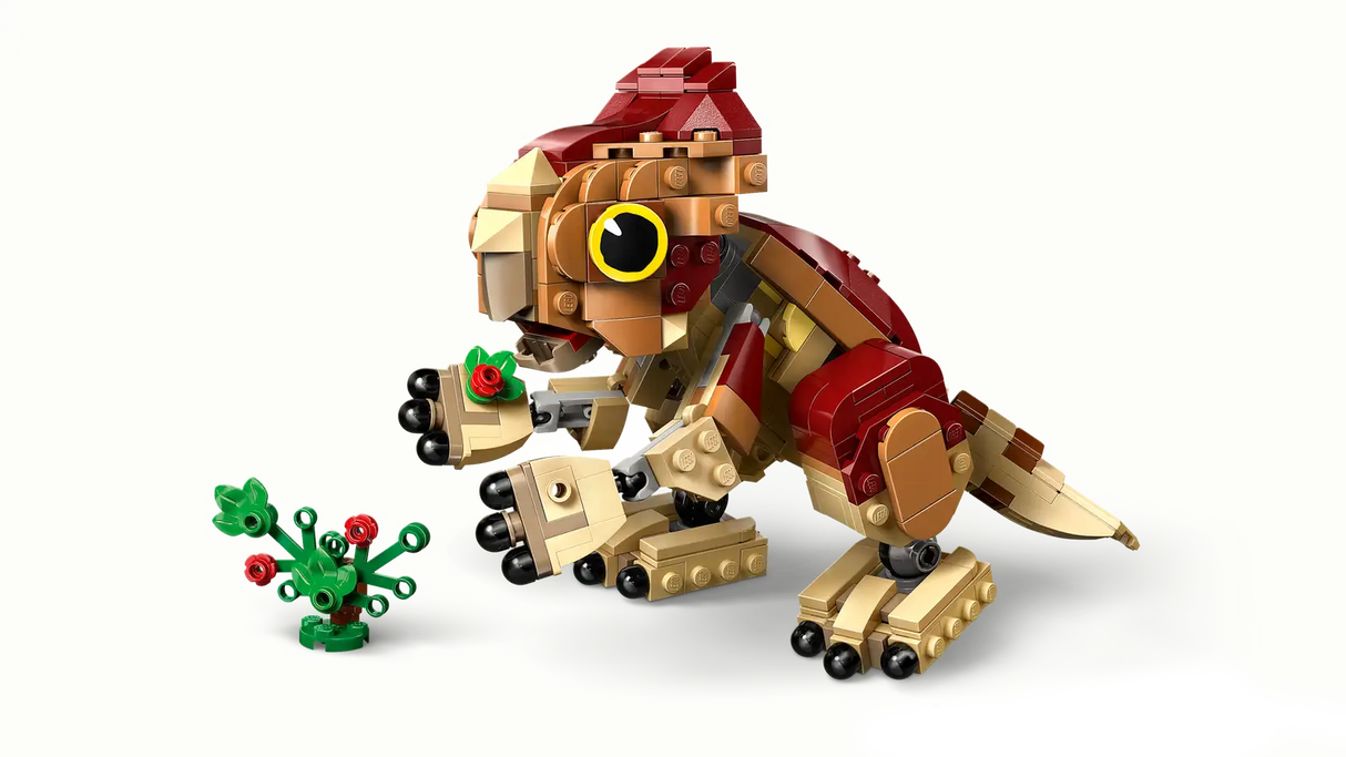 Baby Dinosaur Dolores: Aquilops