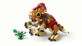 Baby Dinosaur Dolores: Aquilops