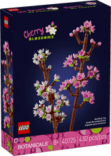 Cherry Blossoms