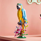 Exotic Parrot