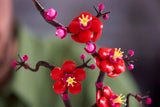 Plum Blossom